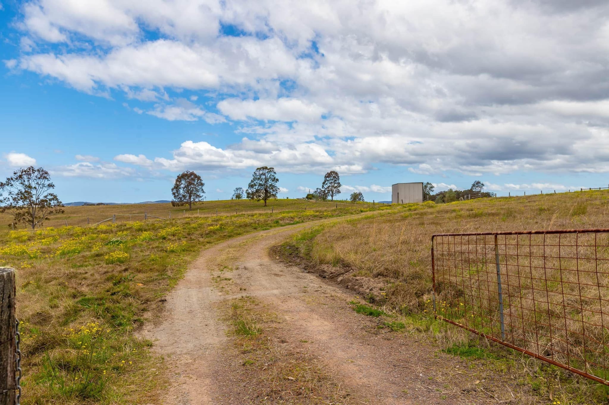 How We're Restoring 42 Hectares of Land: A Journey Back to Life