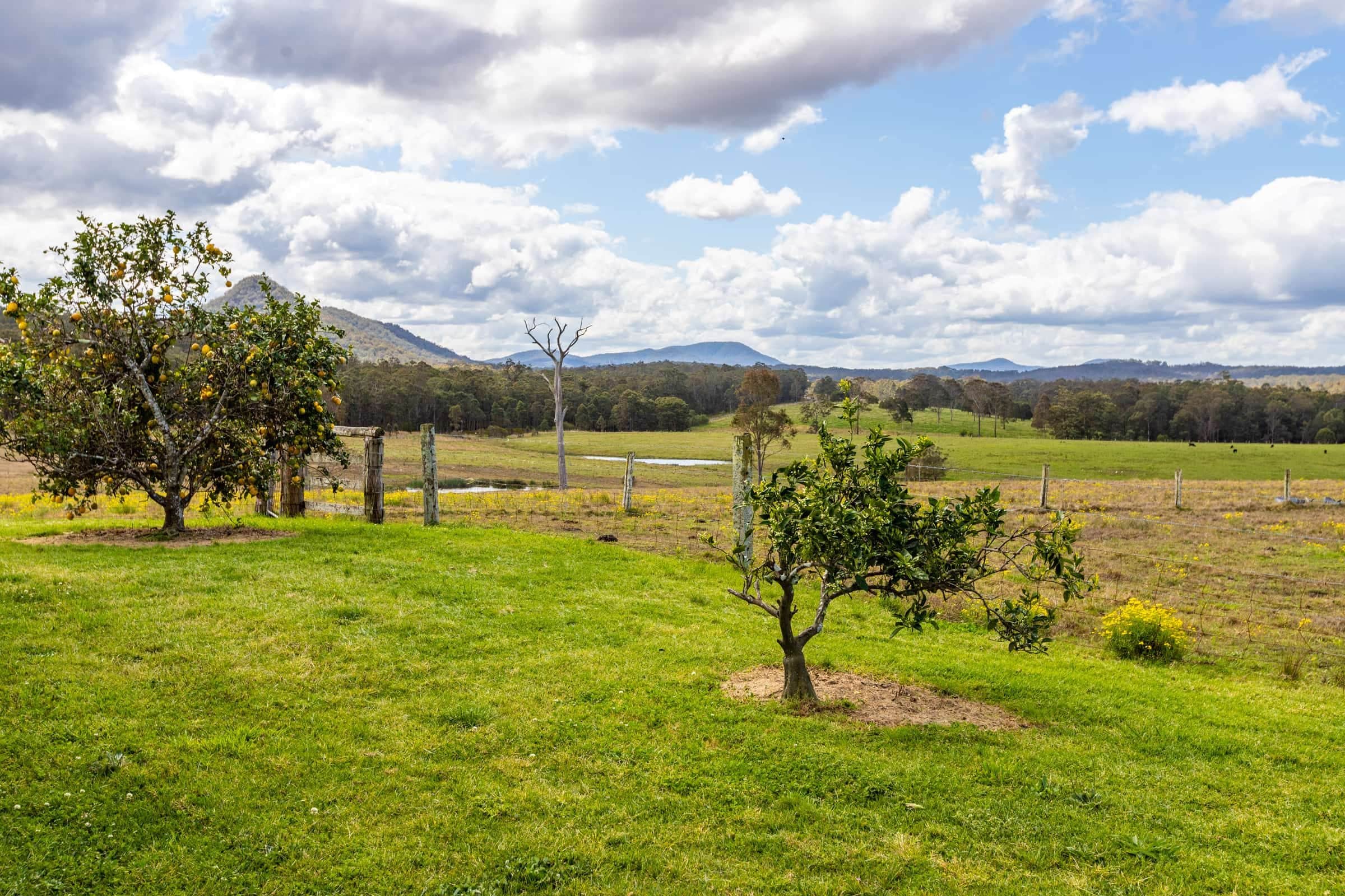 Carinya Parc valley landscape